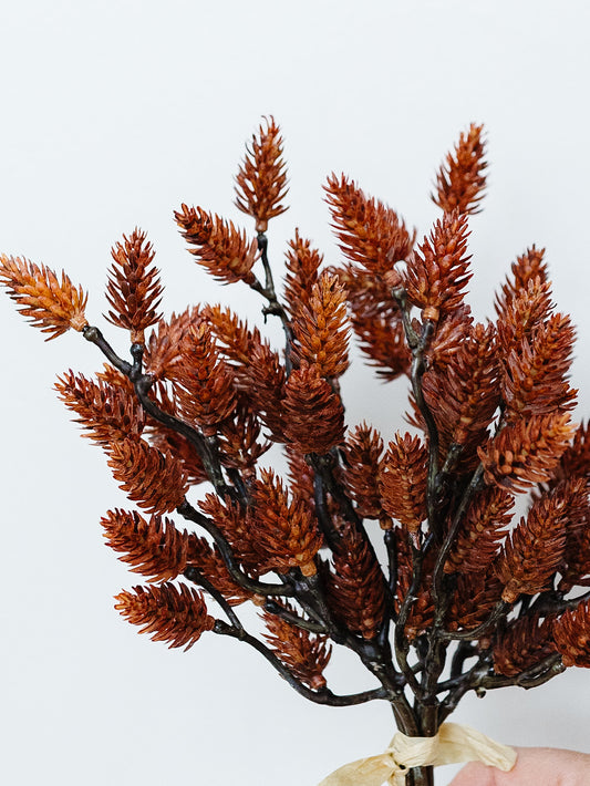 Pine Cone Bundle - 11" - Brick color
