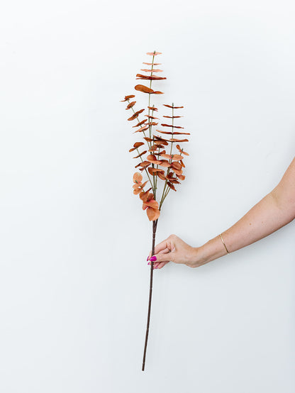 Orange Eucalyptus Stem - 35"