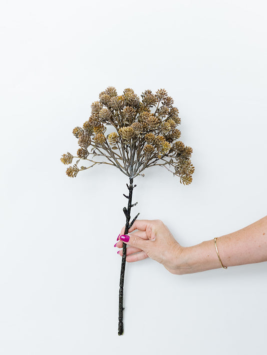 Brown Sedum Spray - 20.5"