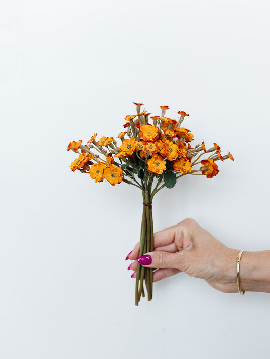 Orange Primrose 11" Bundle - 6 Stems