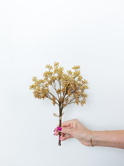 Tan Sedum Bundle - 12"