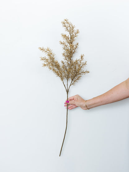 Beige Asparagus Fern Spray - 34"