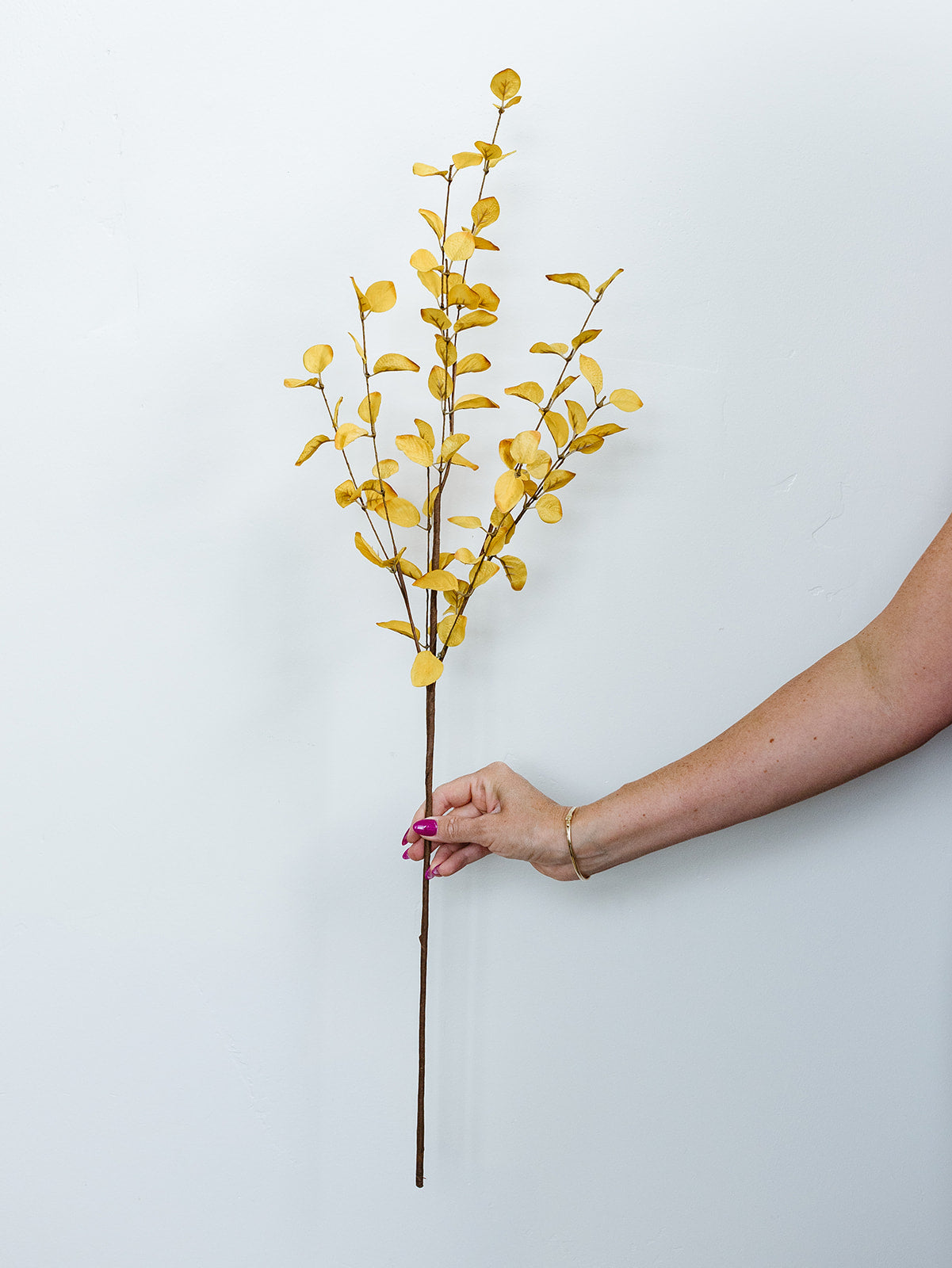 Yellow Eucalyptus - 34"
