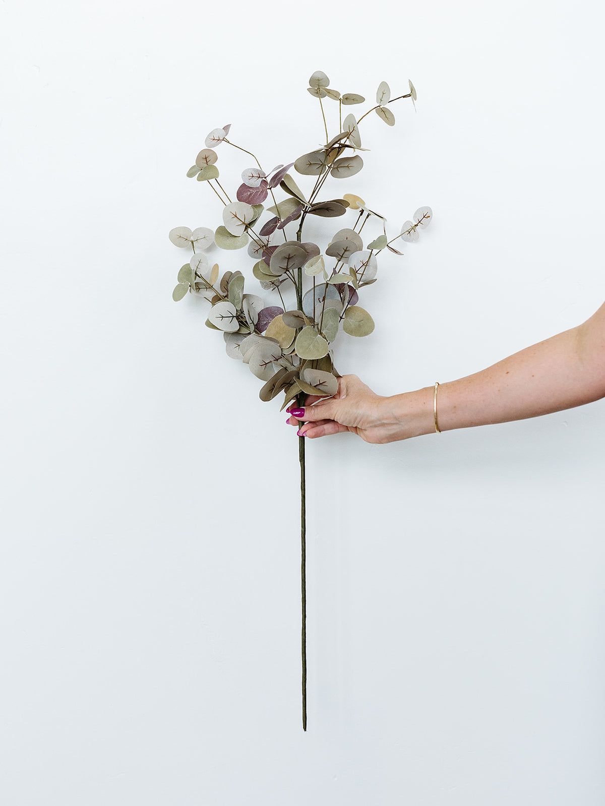Burgundy Two-Tone Eucalyptus Stem - 36"