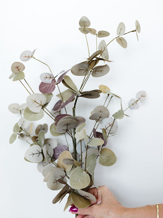 Burgundy Two-Tone Eucalyptus Stem - 36"