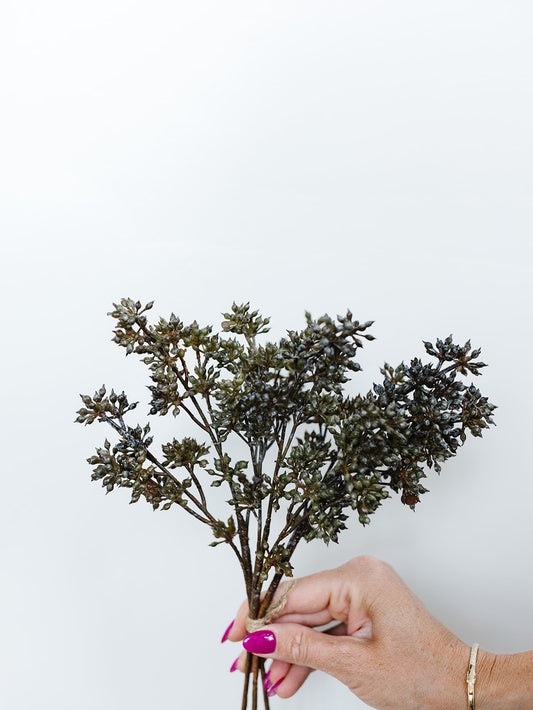 Dk. Green/Brown Sedum Bundle - 12"