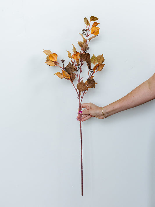 Mustard & Orange Silver Dollar Eucalyptus - 38"