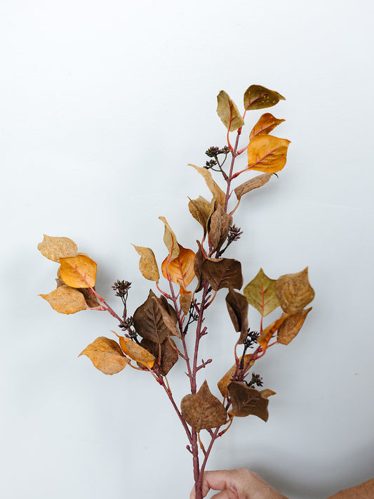 Mustard & Orange Silver Dollar Eucalyptus - 38"
