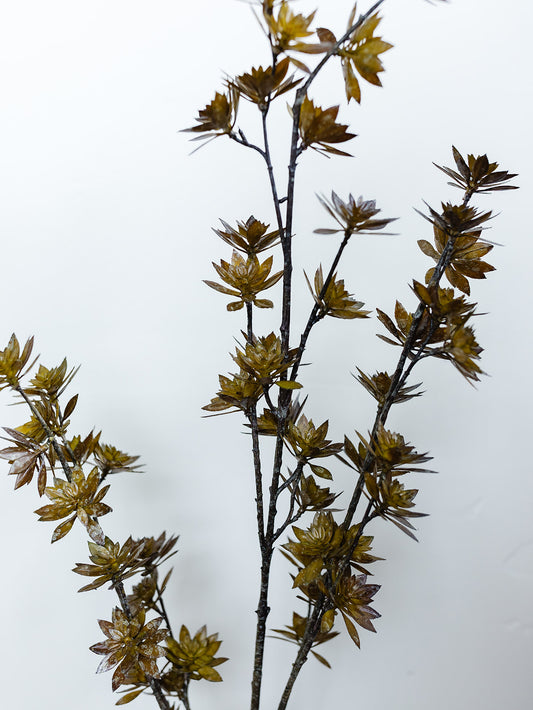 Dark Brown Flowering Pod Spray - 41"