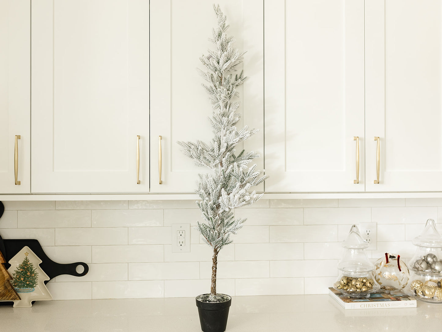 Snow Pine Tree in Pot