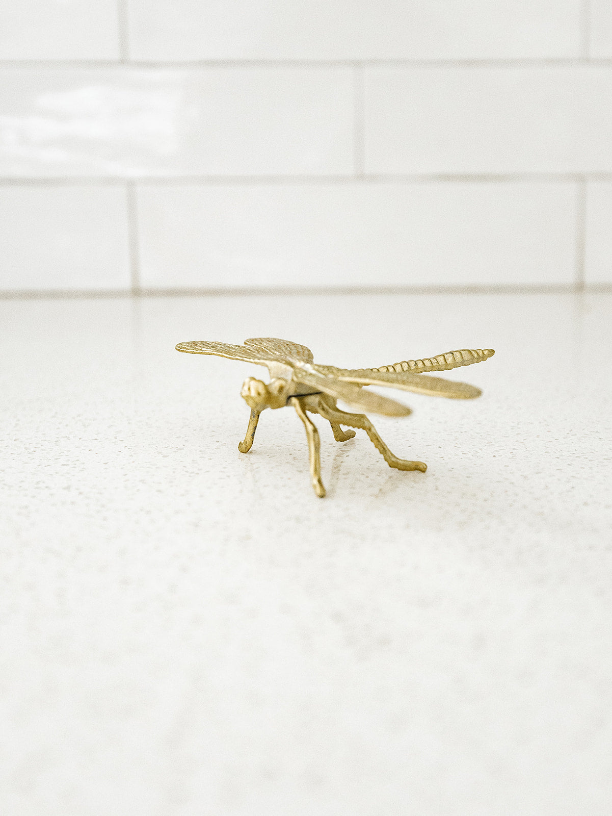 Pewter Dragonfly with Gold Finish