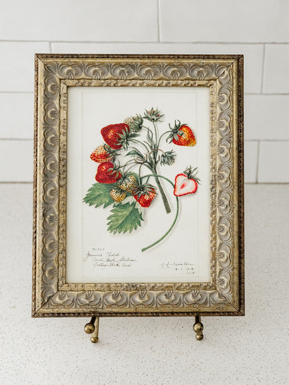 Strawberries Study Framed Art - 2 Sizes