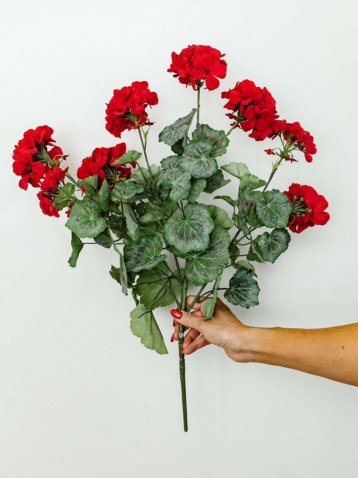 Red Geranium Spray - 24”