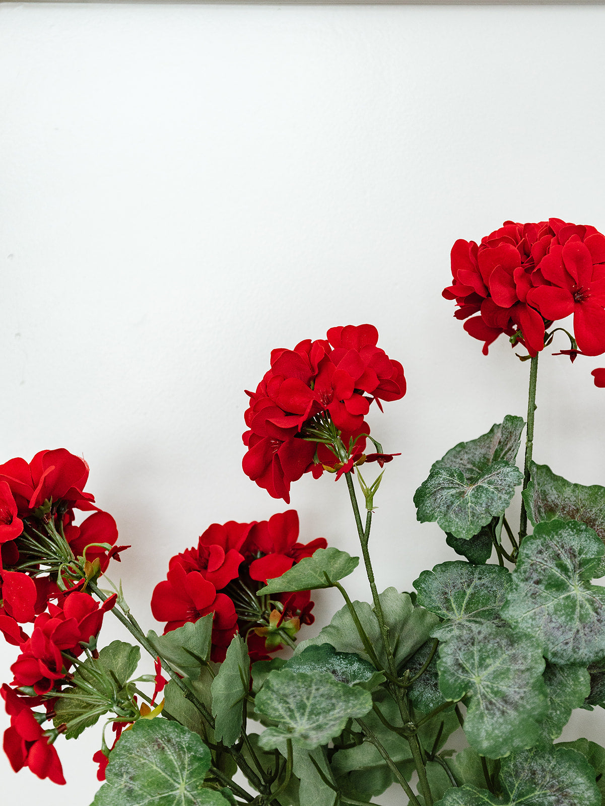 Red Geranium Spray - 24”