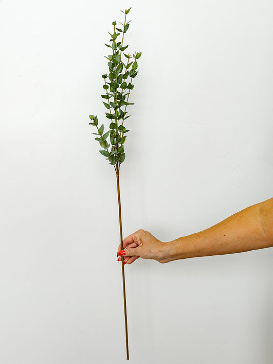 Mini Heart Eucalyptus Spray - 38"