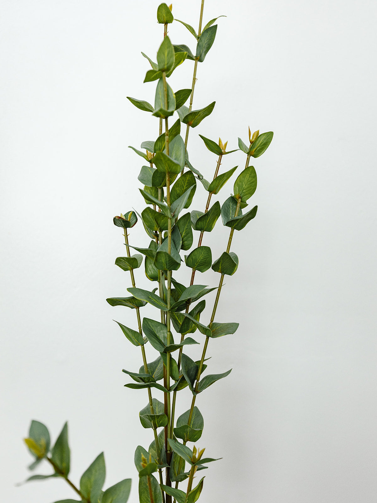 Mini Heart Eucalyptus Spray - 38"
