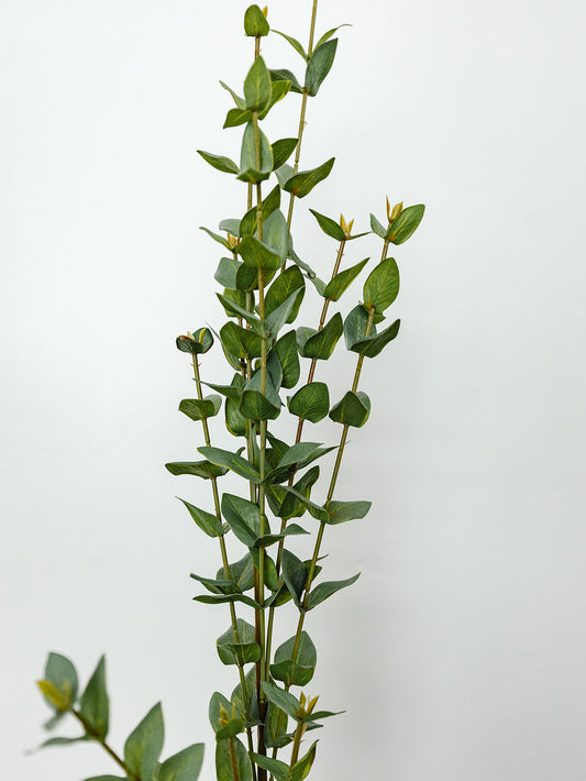 Mini Heart Eucalyptus Spray - 38"