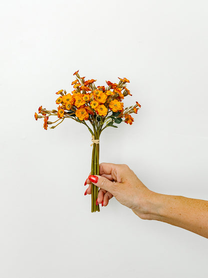 Orange Primrose 11" Bundle - 6 Stems