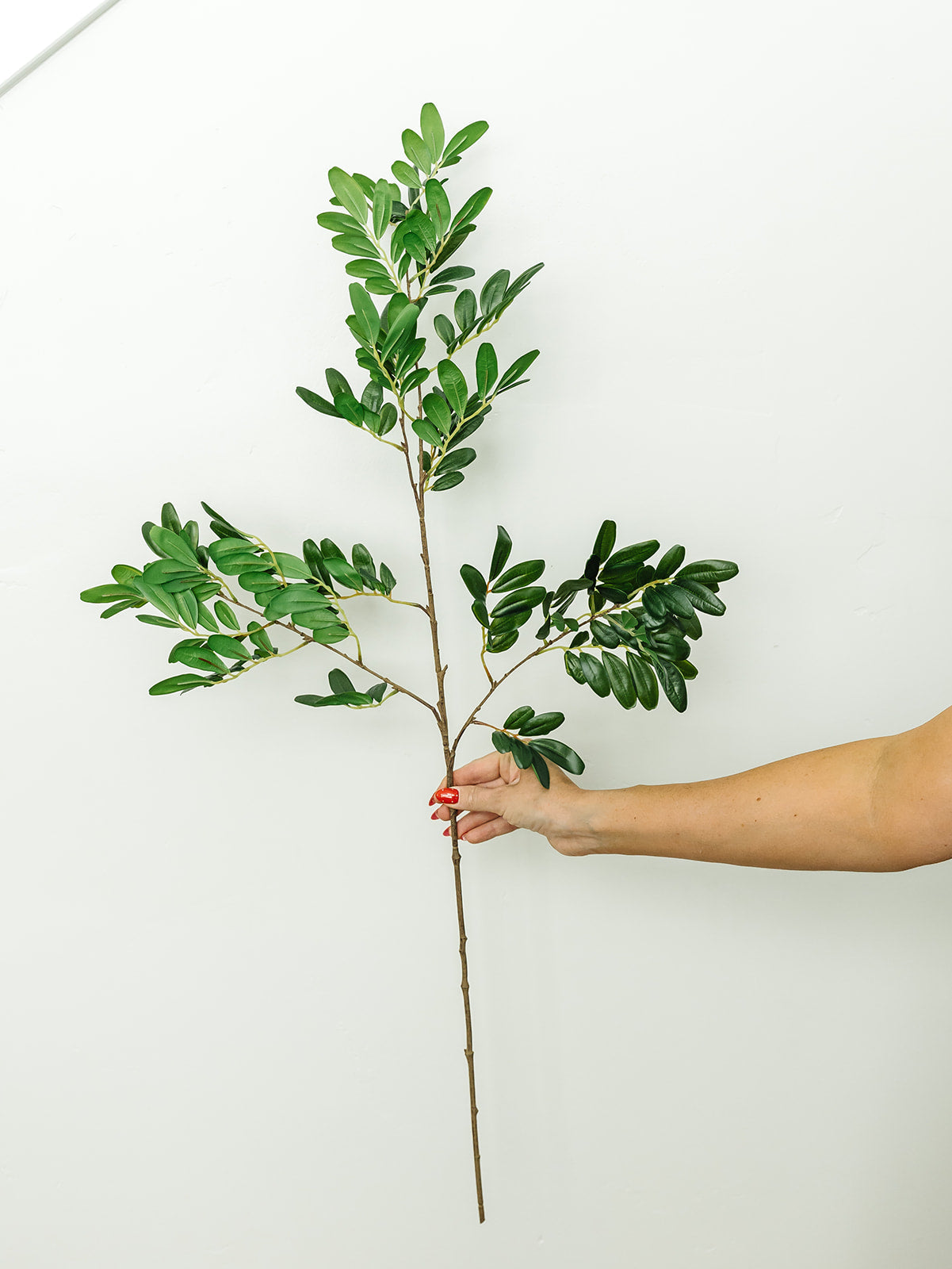 Locust Leaf Spray - 37.5"