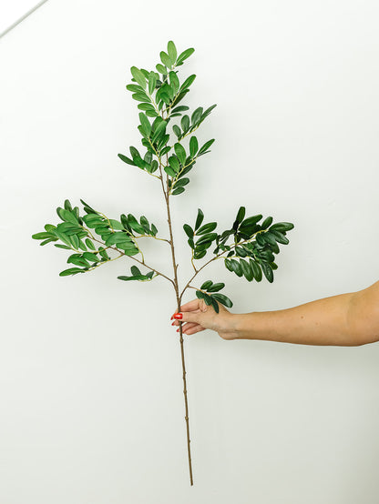 Locust Leaf Spray - 37.5"
