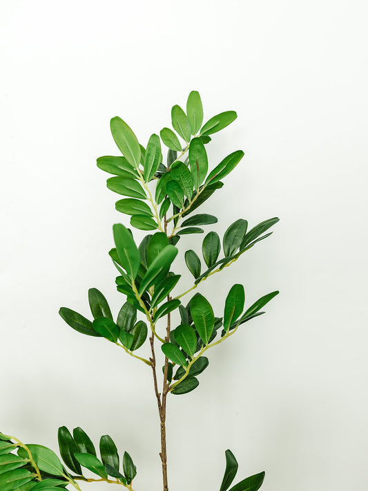 Locust Leaf Spray - 37.5"