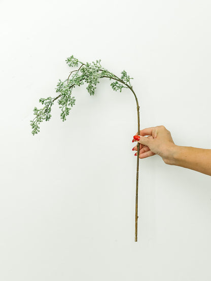 Powdered Green Eucalyptus Berry Bud Spray - 31"