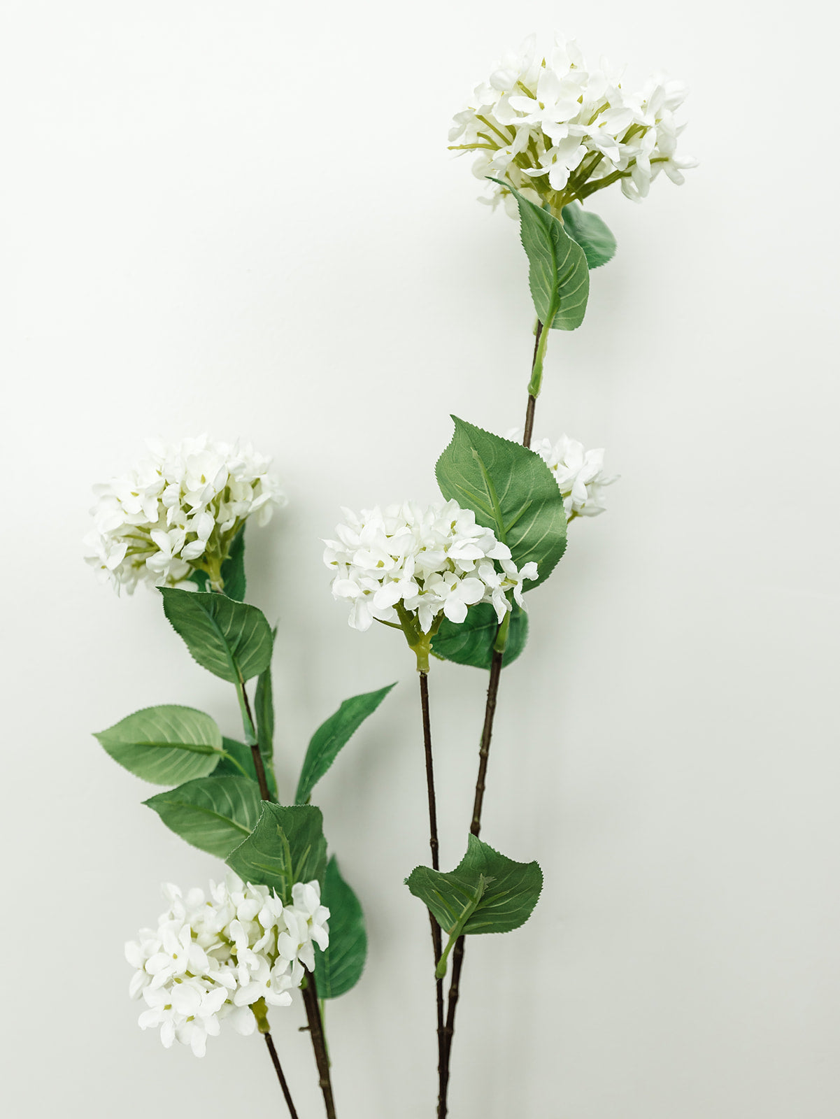 White Snowball Hydrangea Branch - 45"
