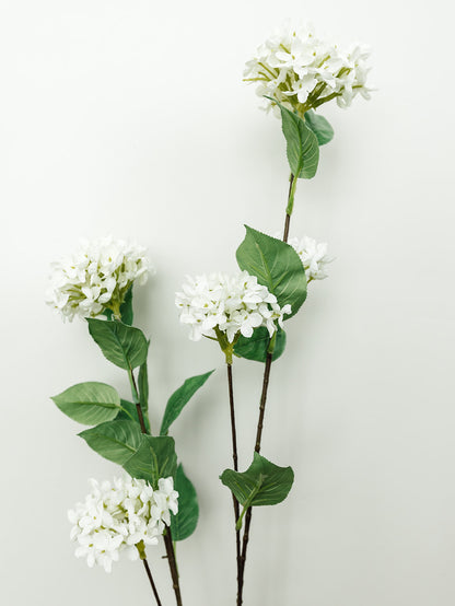 White Snowball Hydrangea Branch - 45"