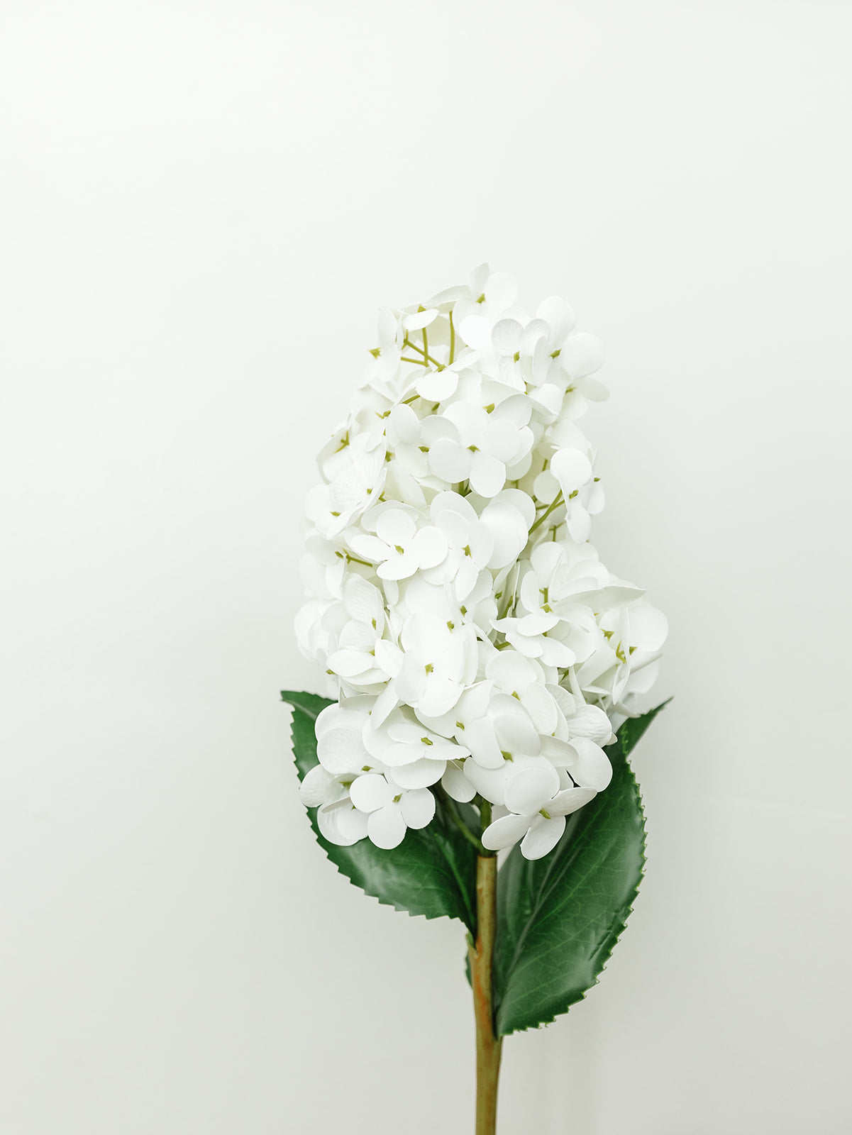 White Real Touch Cone Hydrangea - 28"