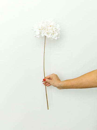 Cream Dried Hydrangea Stem - 27"