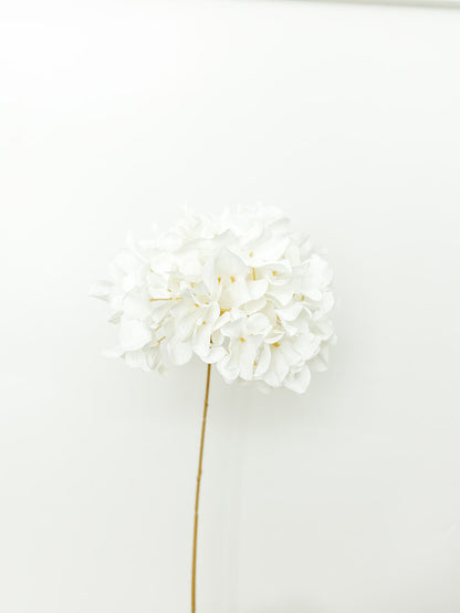 Cream Dried Hydrangea Stem - 27"