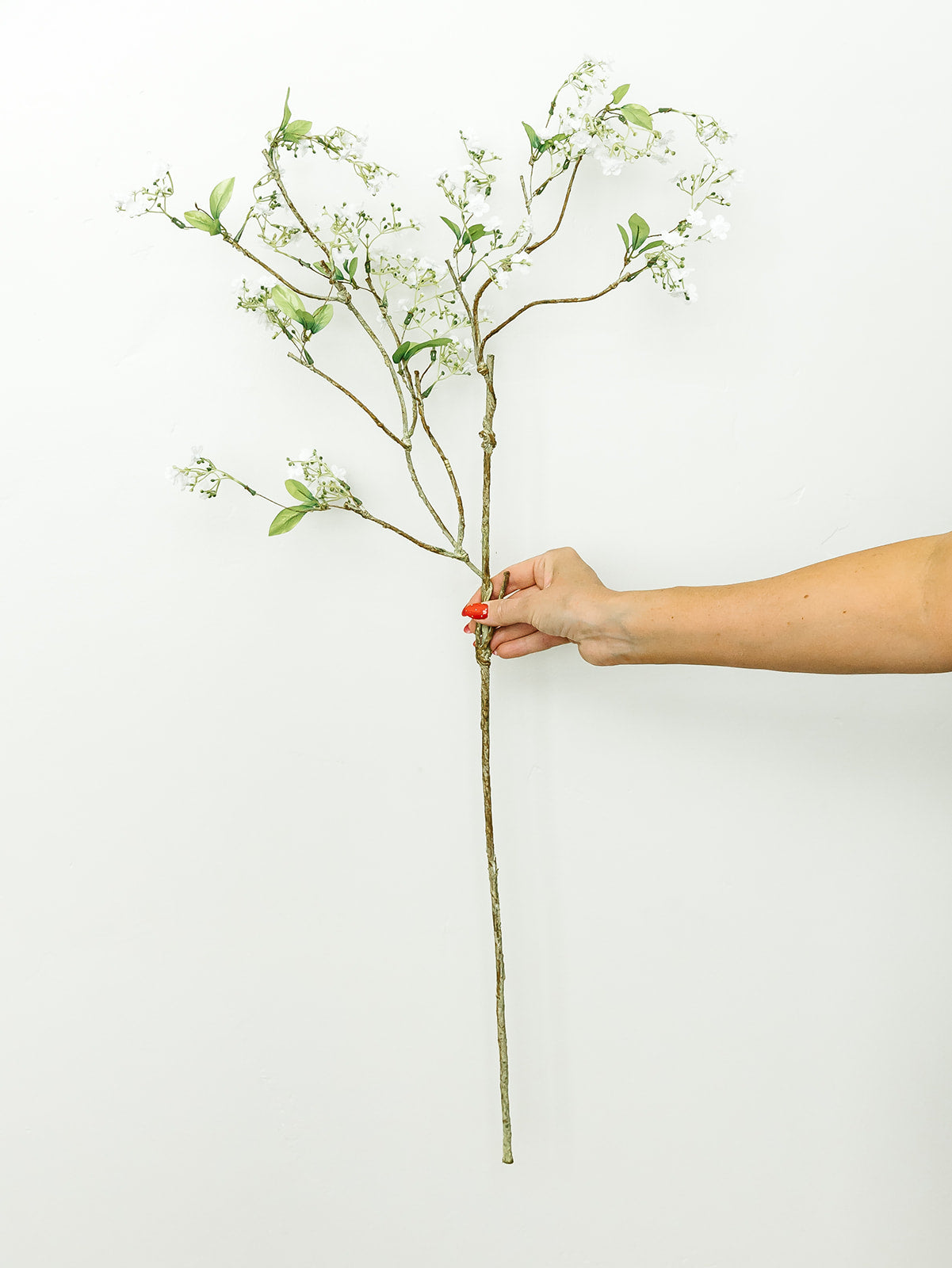 White Flowering Branch - 41'