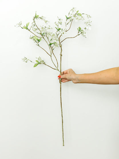White Flowering Branch - 41'