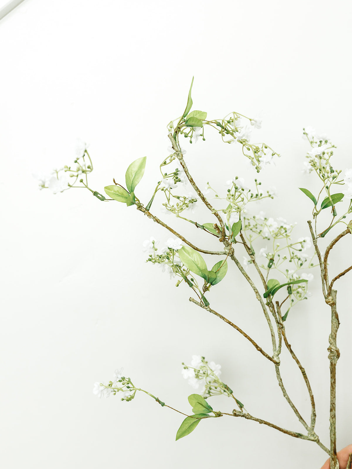White Flowering Branch - 41'