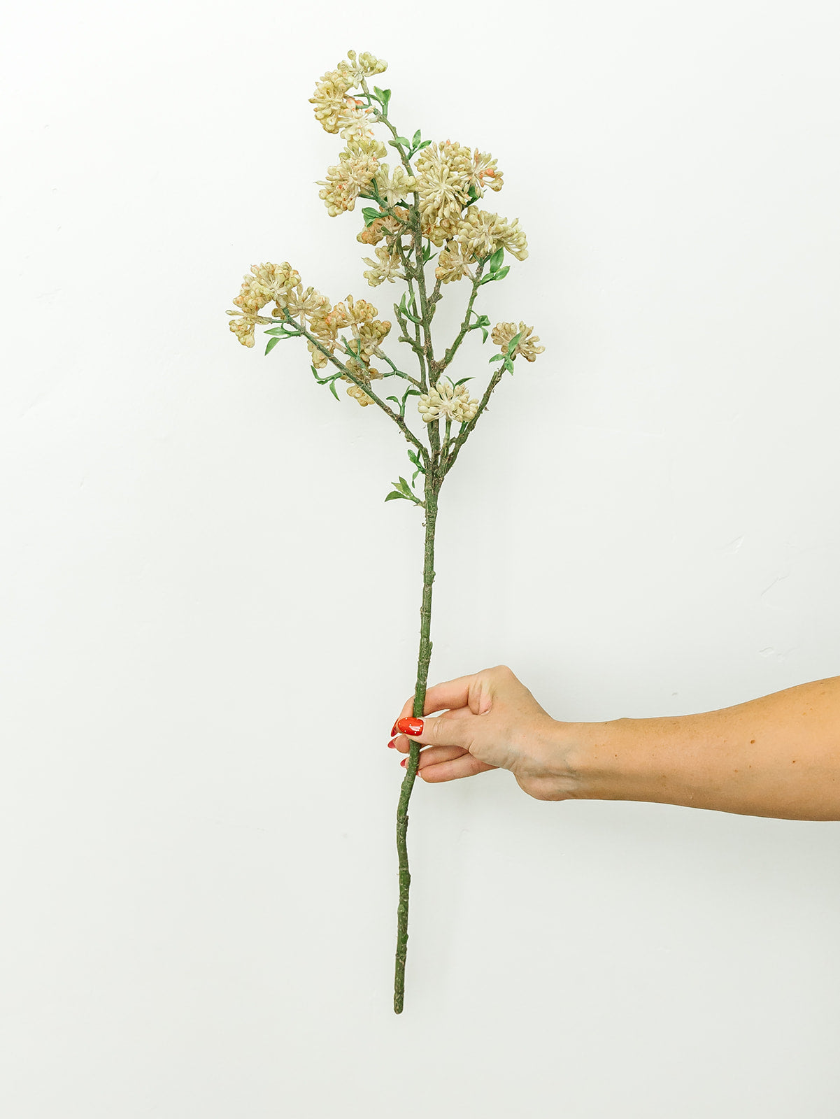 Snowball Bud Spray - 30"