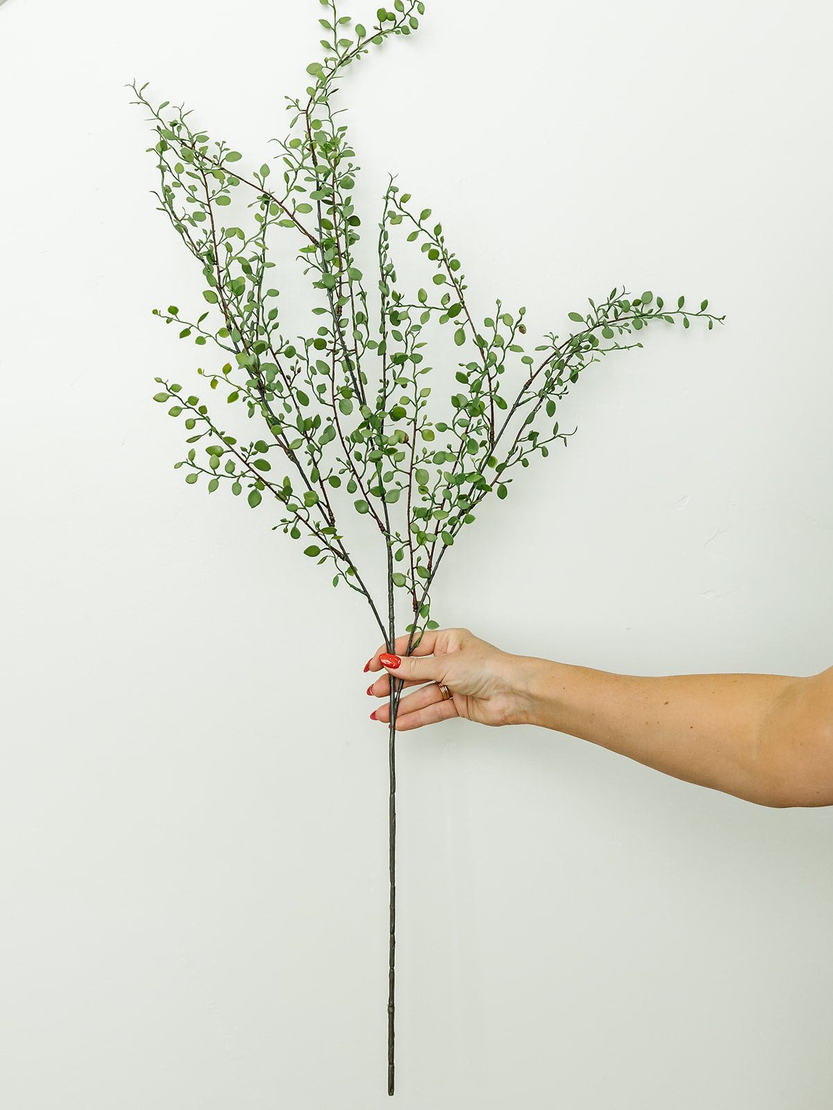 Creeping Vine Spray - 37"