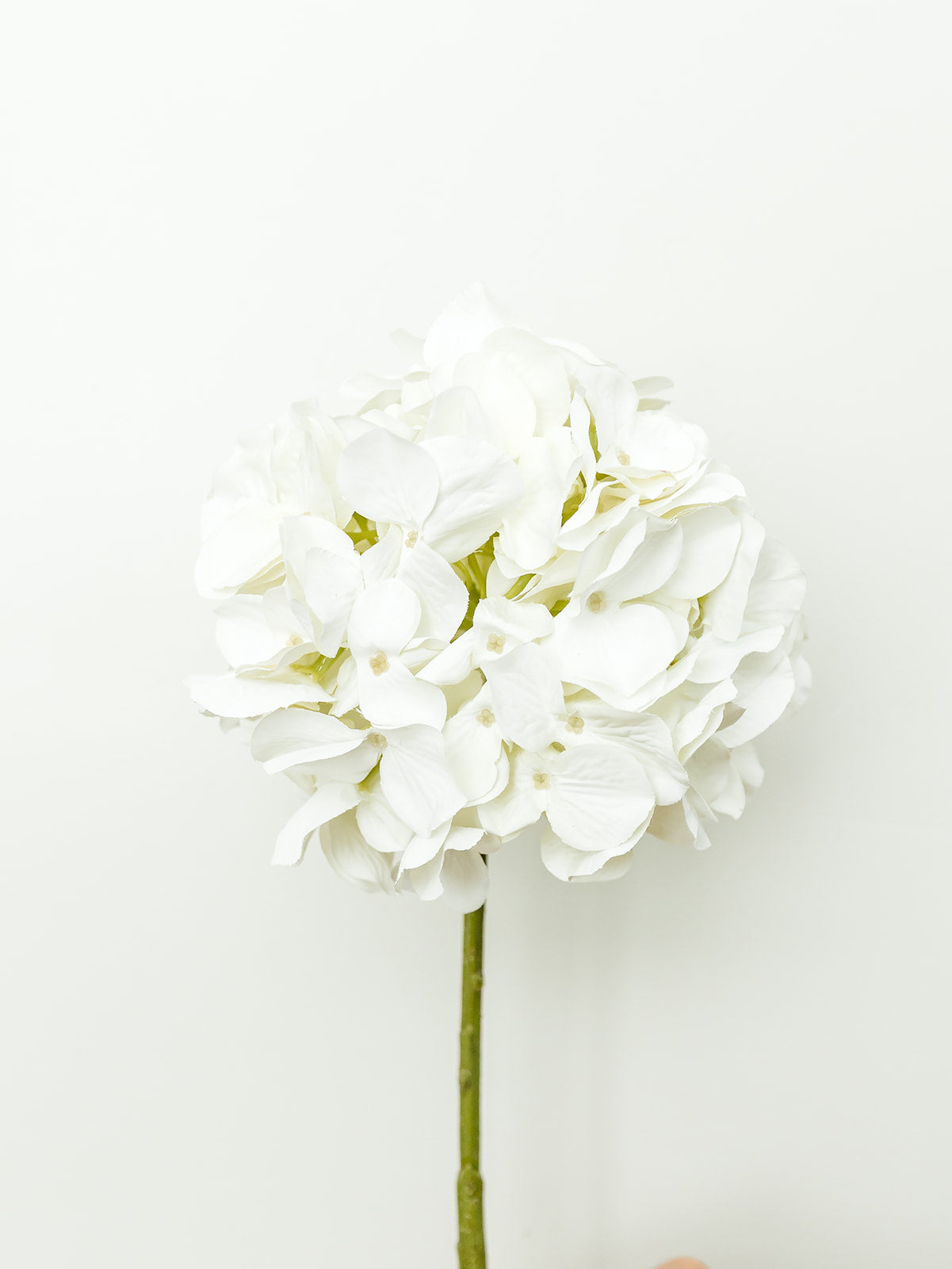 White Hydrangea Spray - 21"