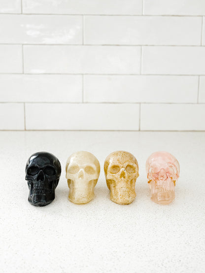 Boxed Set of 4 Skulls - Multi Colors -