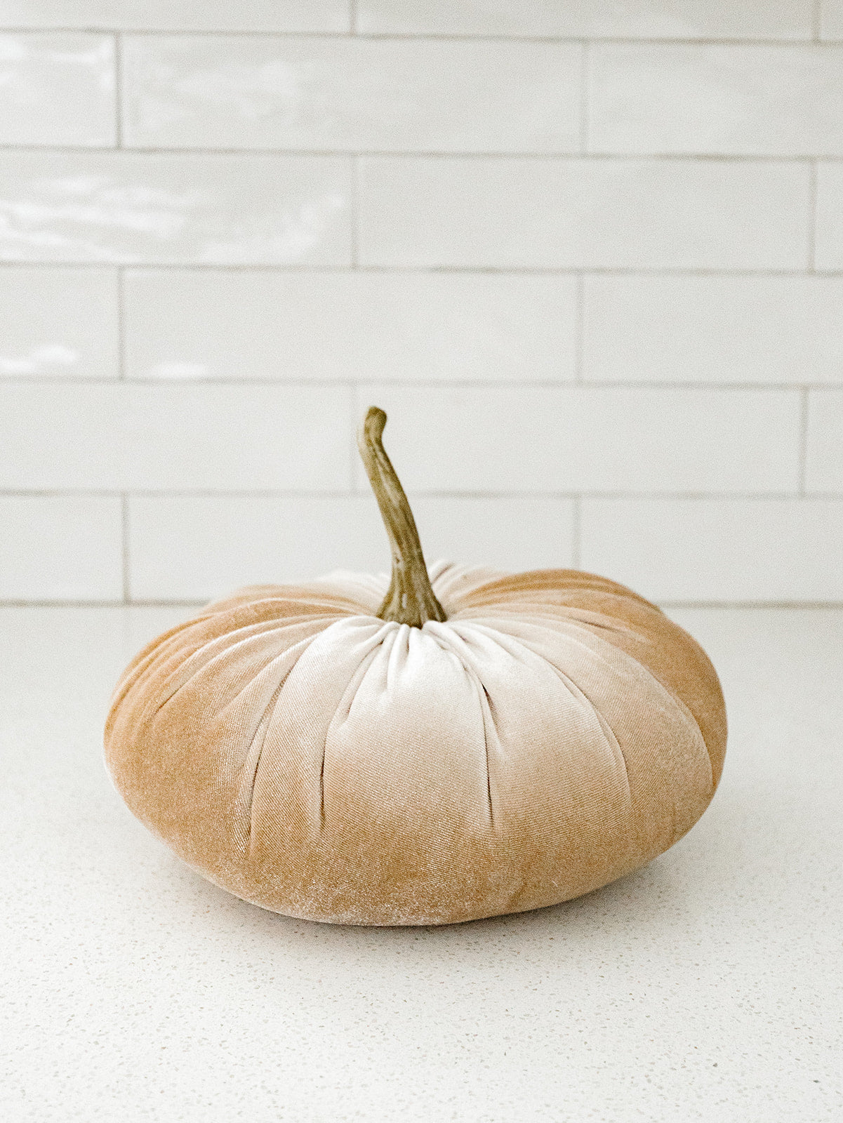 Cream Velvet Pumpkin - 2 Sizes