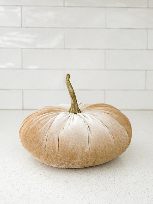 Cream Velvet Pumpkin - 2 Sizes