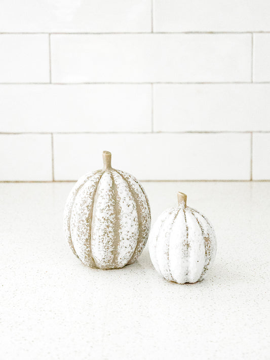 Pumpkin Patch Set of 2 - Grey