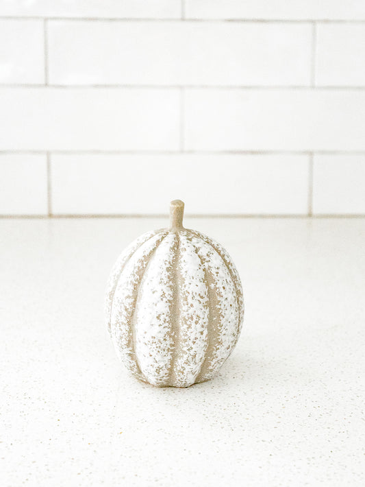 Pumpkin Patch Set of 2 - Grey