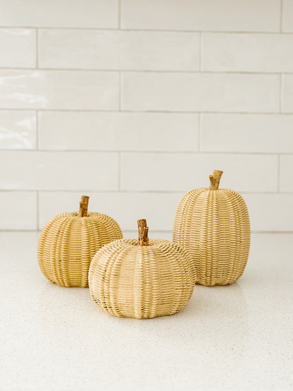 Taupe Pumpkin - 3 Styles
