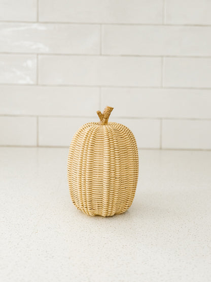 Taupe Pumpkin - 3 Styles