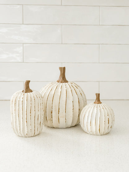 Whitewashed Pumpkin - 3 Sizes