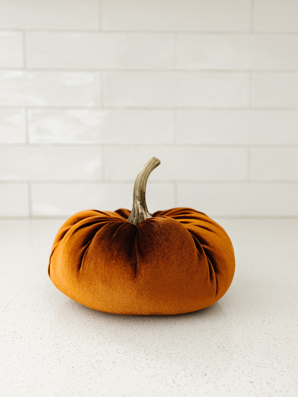 Rust Velvet Pumpkin