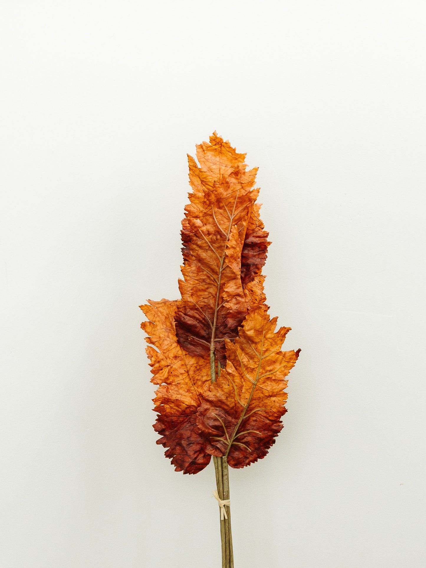 Poppy Leaf Bundle of 5 - 27"
