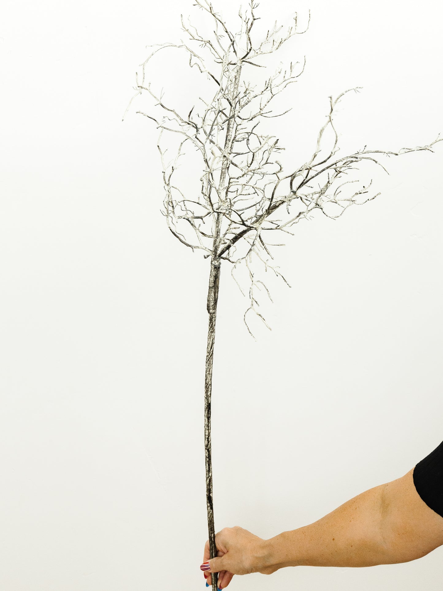 Spooky Twig Spray - 47"