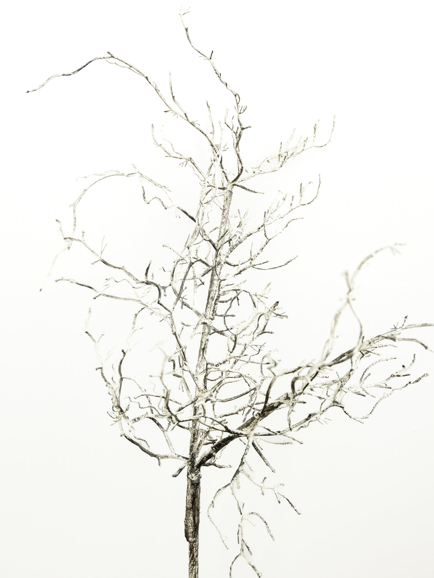 Spooky Twig Spray - 47"