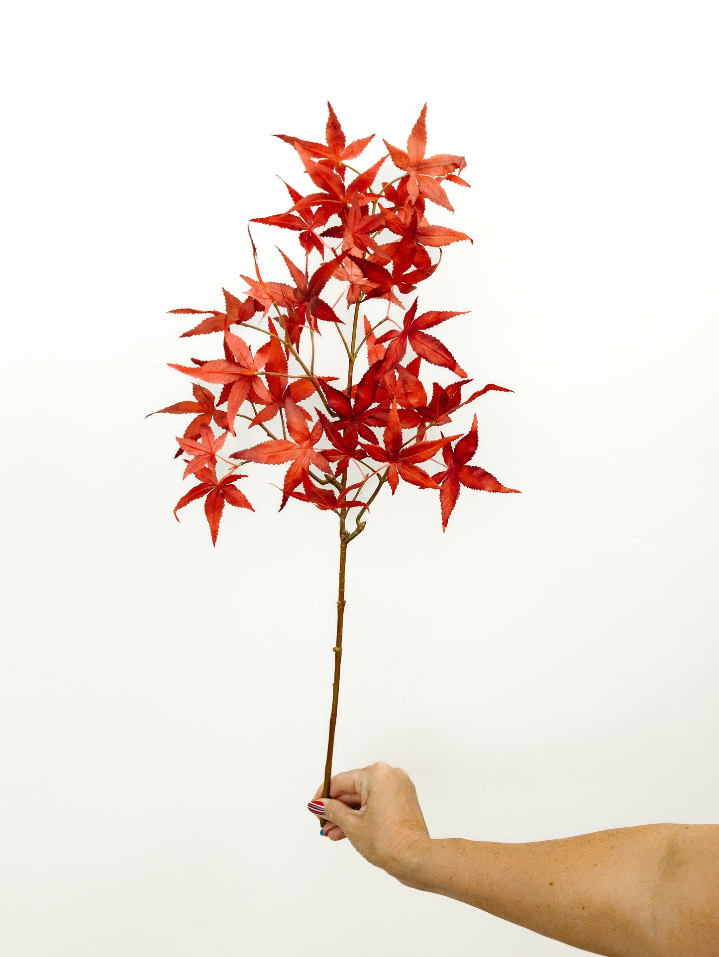 Japanese Maple Spray - 27"